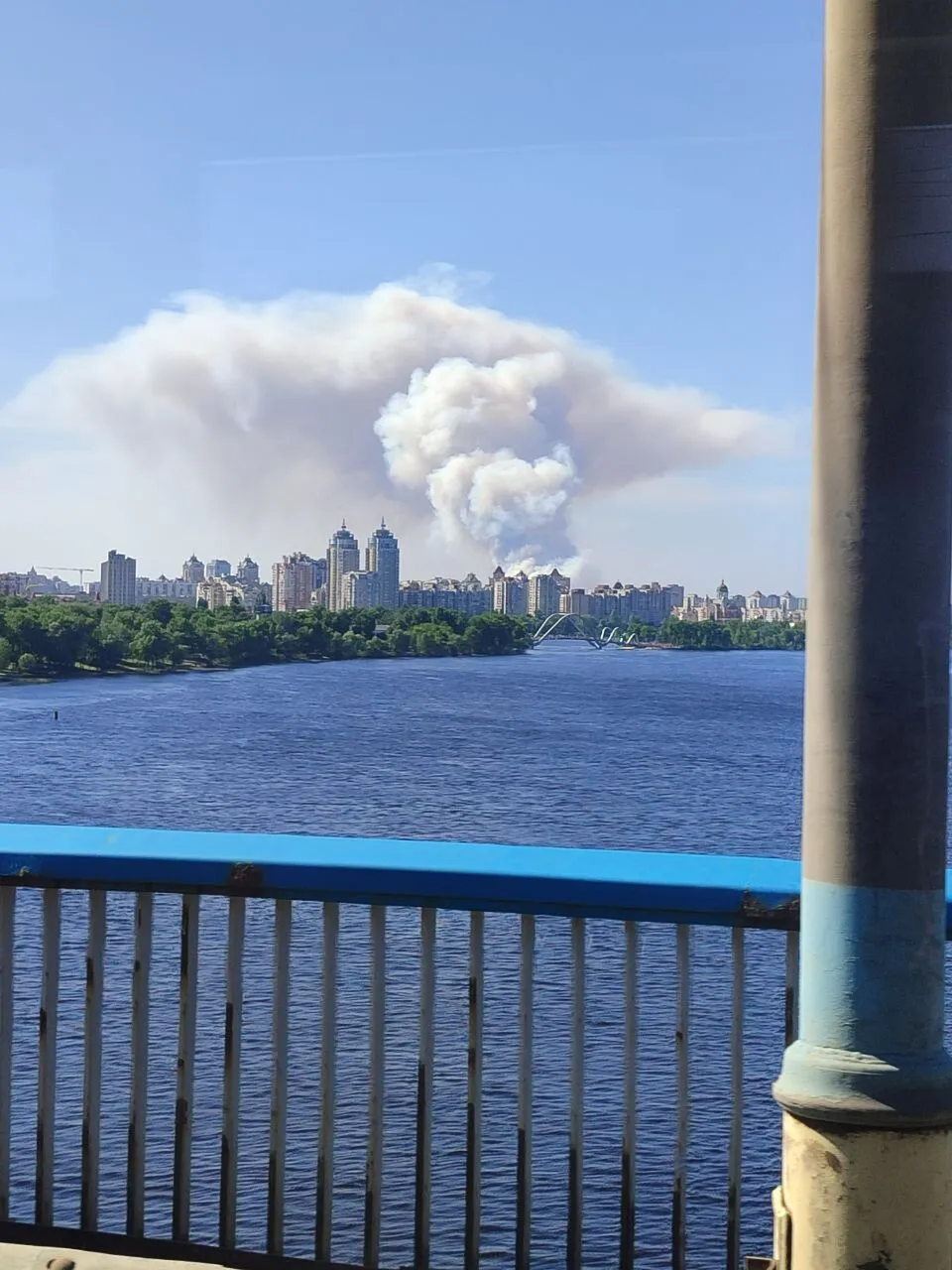 Над лісом здійнявся великий стовп диму: під Києвом виникла сильна пожежа. Фото і відео