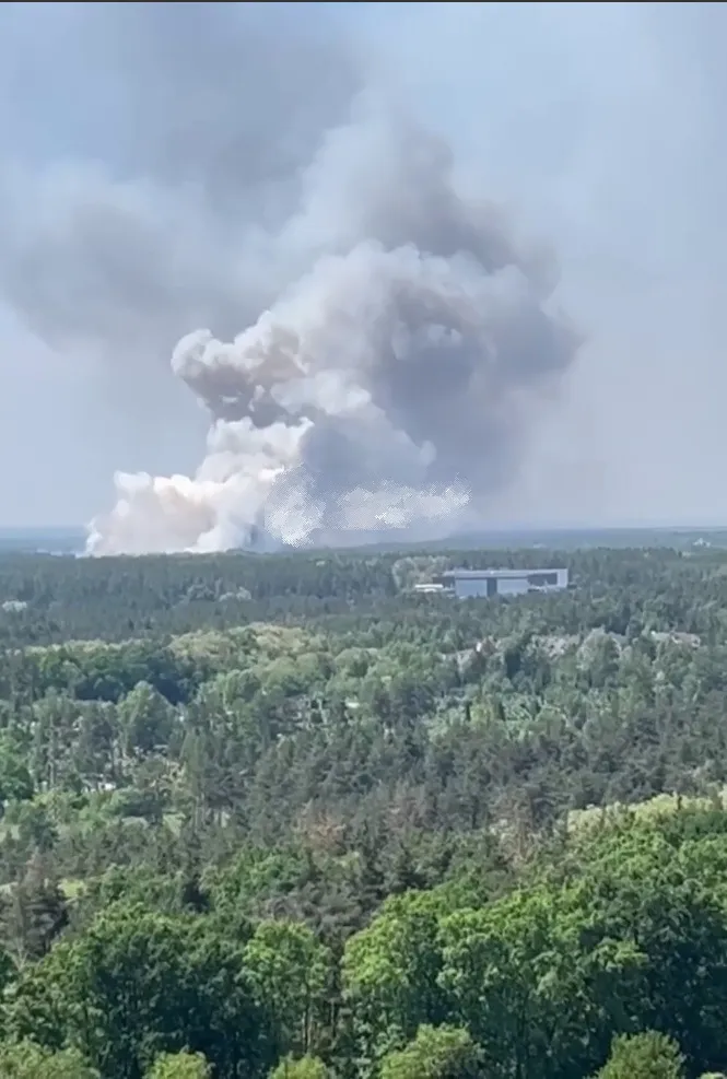 Над лісом здійнявся великий стовп диму: під Києвом виникла сильна пожежа. Фото і відео