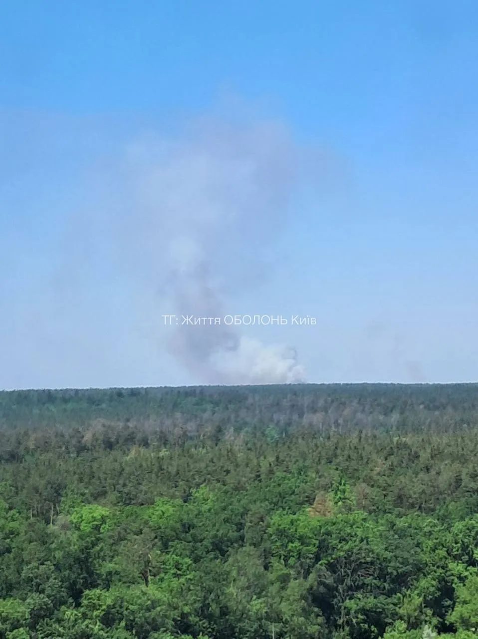 Над лісом здійнявся великий стовп диму: під Києвом виникла сильна пожежа. Фото і відео