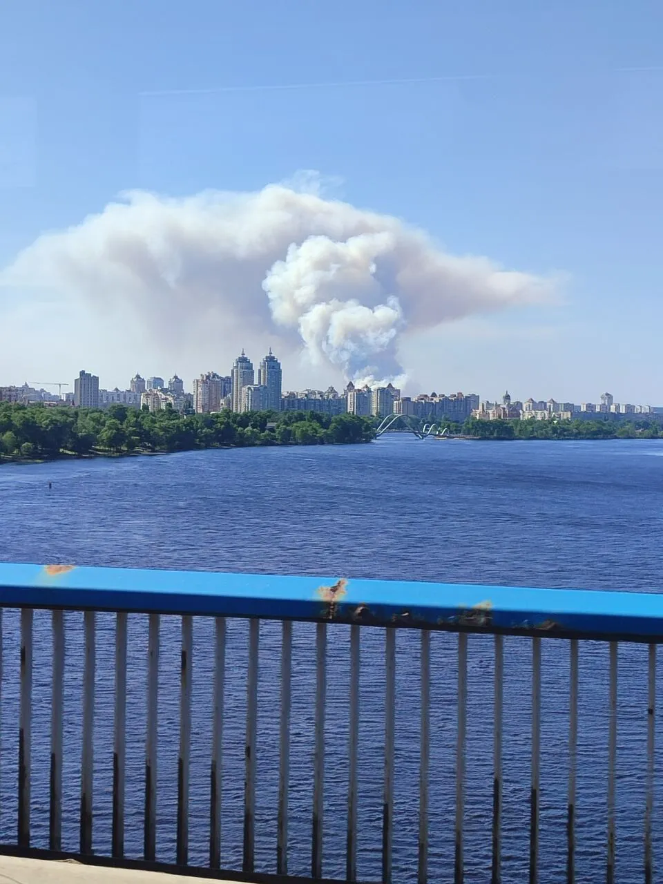 Над лісом здійнявся великий стовп диму: під Києвом виникла сильна пожежа. Фото і відео