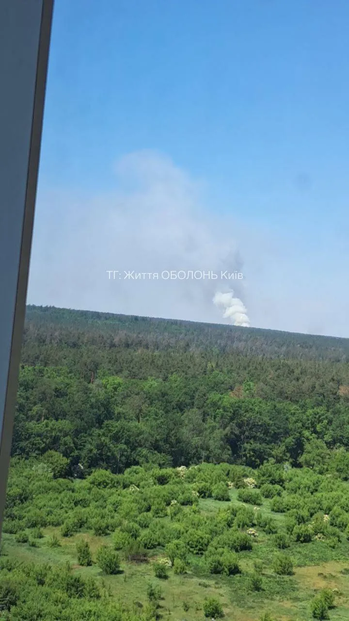 Над лісом здійнявся великий стовп диму: під Києвом виникла сильна пожежа. Фото і відео