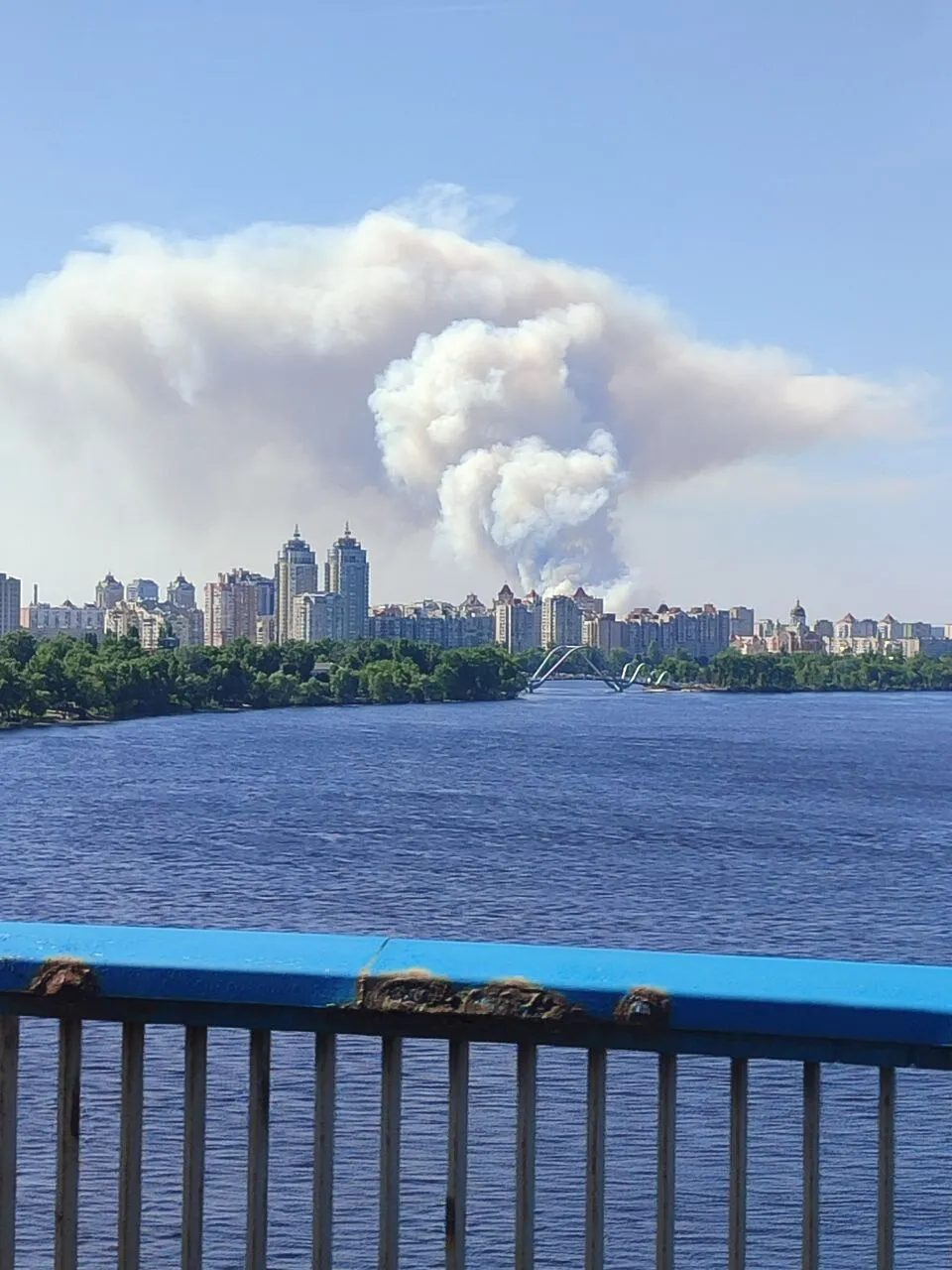 Над лісом здійнявся великий стовп диму: під Києвом виникла сильна пожежа. Фото і відео