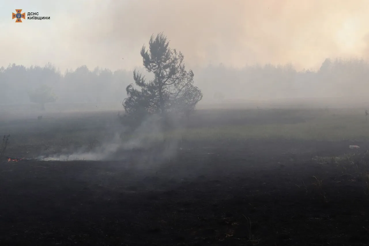 Над лісом здійнявся великий стовп диму: під Києвом виникла сильна пожежа. Фото і відео