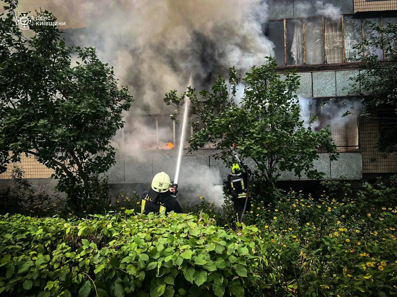 Під Києвом під час пожежі в багатоповерхівці врятували пенсіонера та чотирьох кошенят. Подробиці і фото