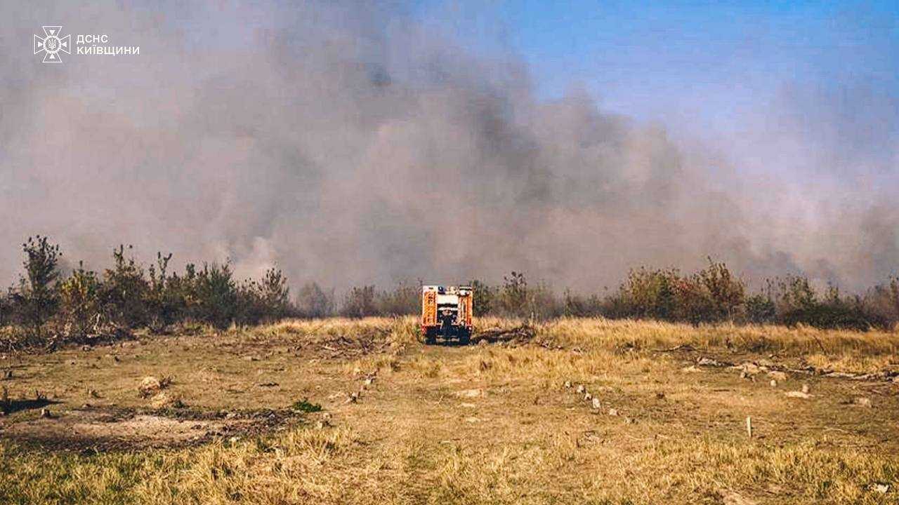 На Київщині сталась масштабна пожежа в екосистемі. Усі подробиці, фото і відео