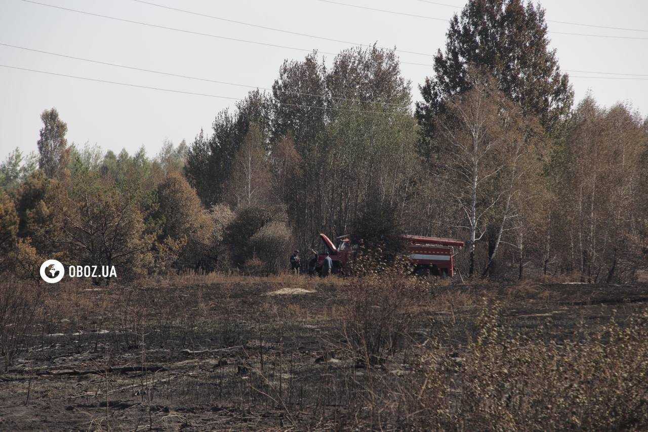 Площа близько 1 га: на Київщині рятувальники загасили пожежу, яка вивела столицю в рейтинг найзабрудненіших міст. Фото і відео