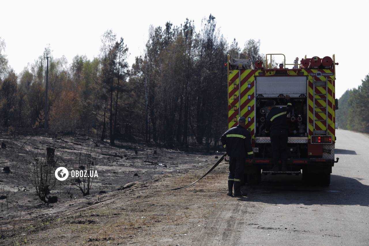 Площа близько 1 га: на Київщині рятувальники загасили пожежу, яка вивела столицю в рейтинг найзабрудненіших міст. Фото і відео