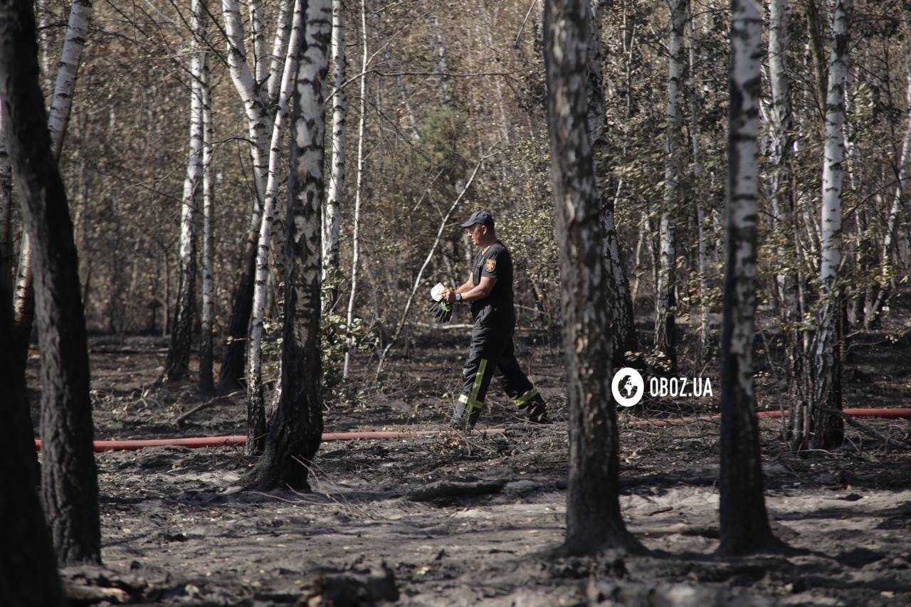 Площа близько 1 га: на Київщині рятувальники загасили пожежу, яка вивела столицю в рейтинг найзабрудненіших міст. Фото і відео