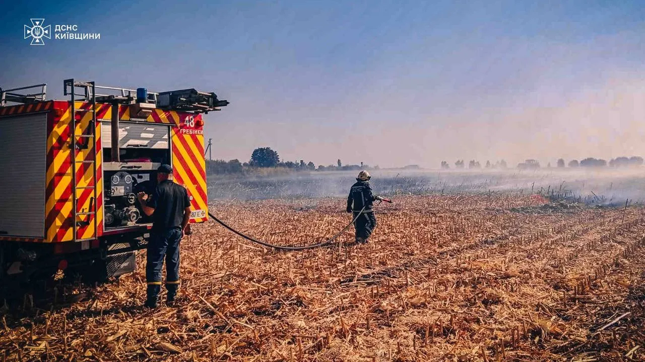 На Київщині сталась масштабна пожежа в екосистемі. Усі подробиці, фото і відео