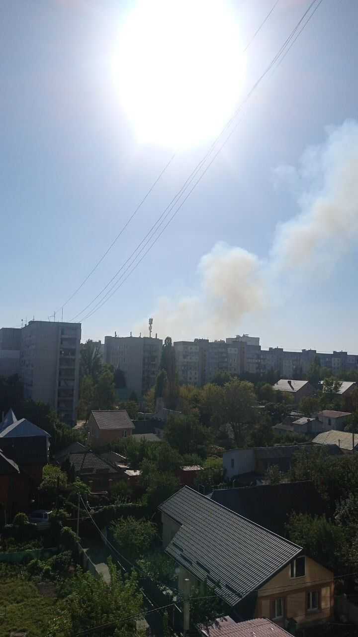 На Київщині сталась масштабна пожежа в екосистемі. Усі подробиці, фото і відео