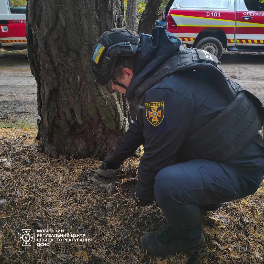 На Київщині чоловік під час збирання грибів знайшов касетну авіабомбу. Подробиці і фото