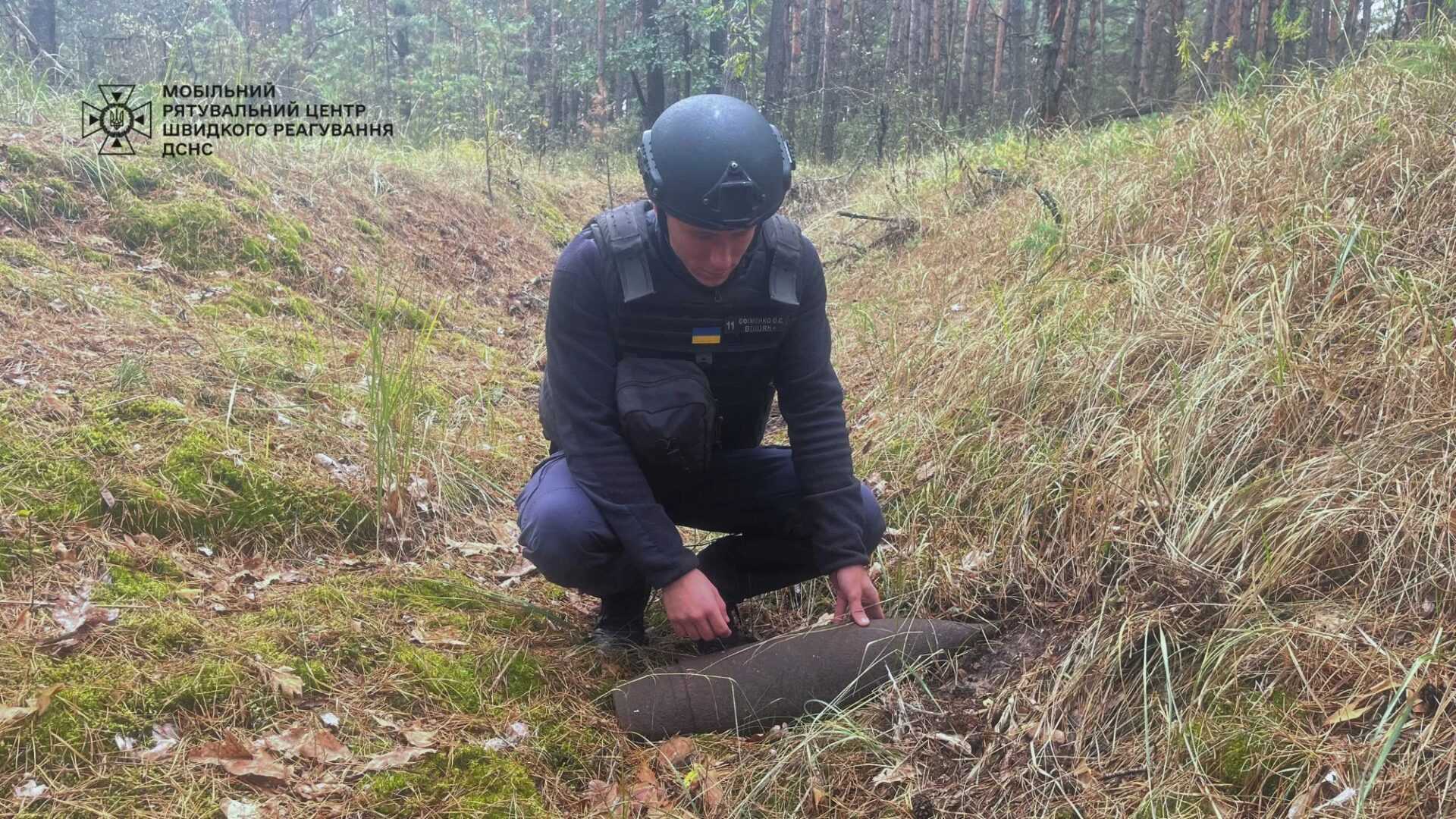 На Київщині лісник знайшов снаряд та міну. Подробиці і фото