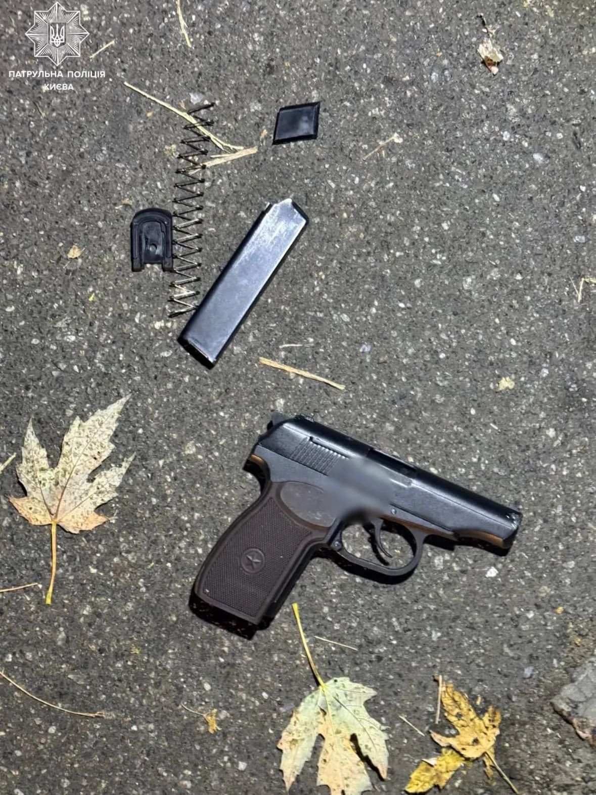 Стріляли у повітря заради розваги: у Києві затримали агресивних чоловіків напідпитку. Фото 