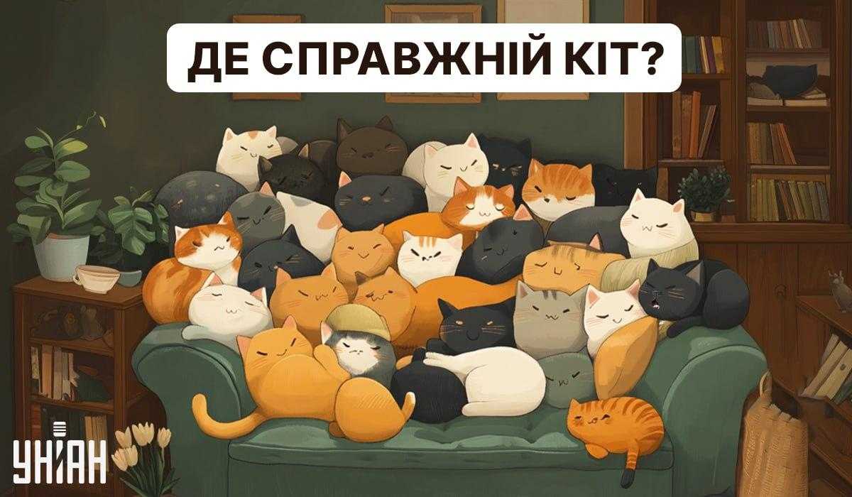 b218f8d9a40f46cdeff52844d616a012