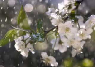 68303f3316ff31525d0895c2a580aee5