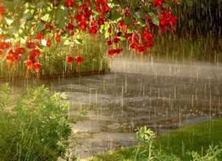 834db571768bb2c17e8f91c7732a747d