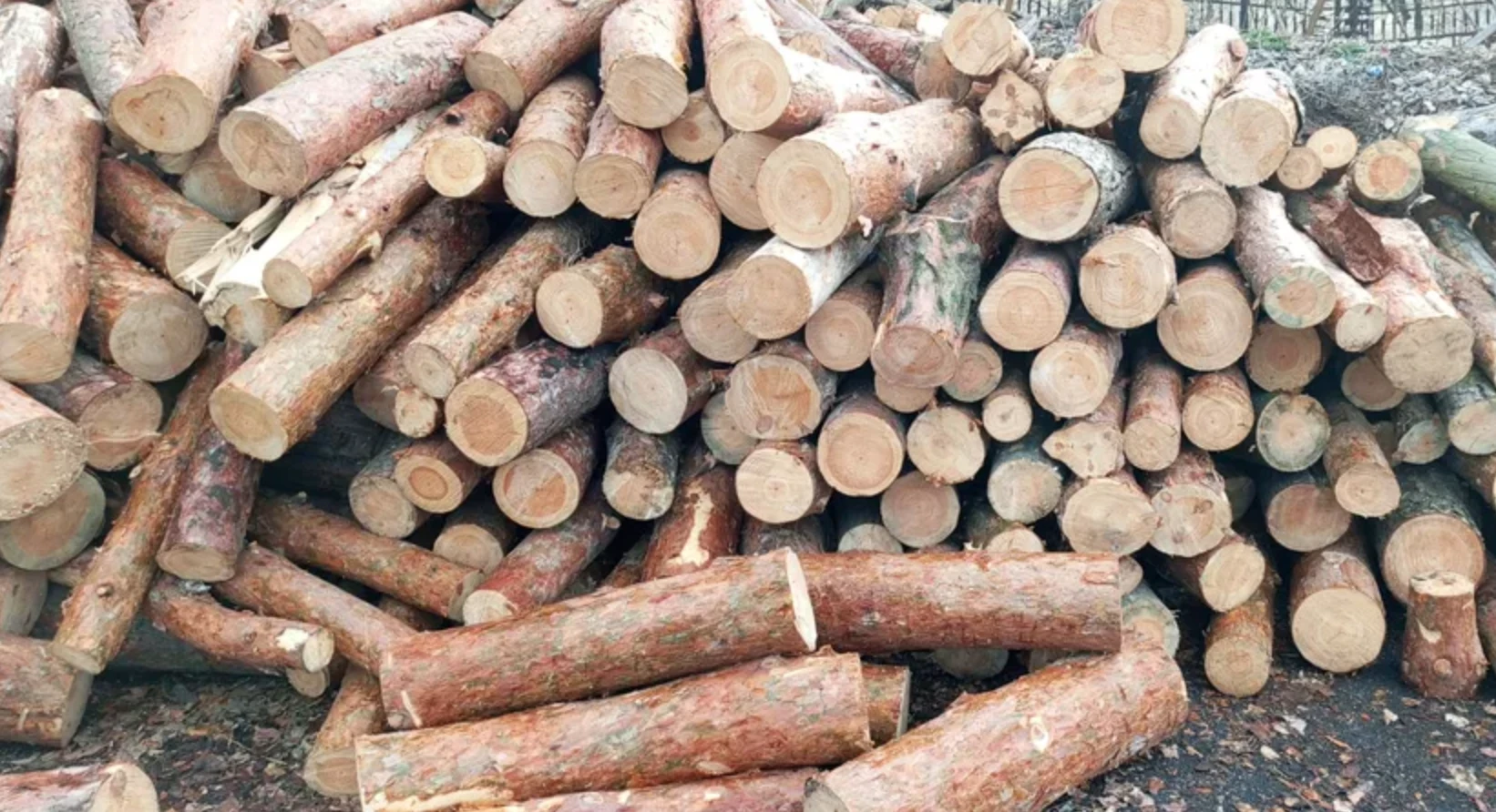 дрова кругляк купити для опалення