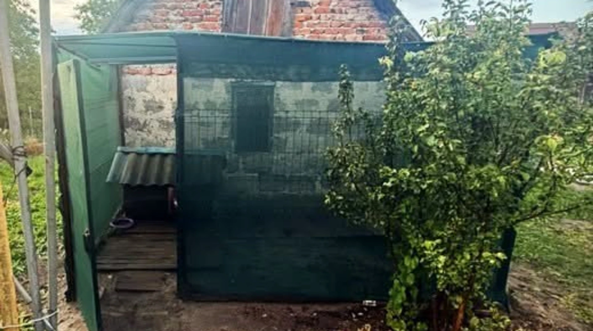 Львів: Жорстоке вбивство собаки п'яним чоловіком. Понівечене тварина померла.