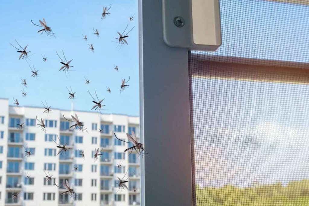 выбрать москитную сетку