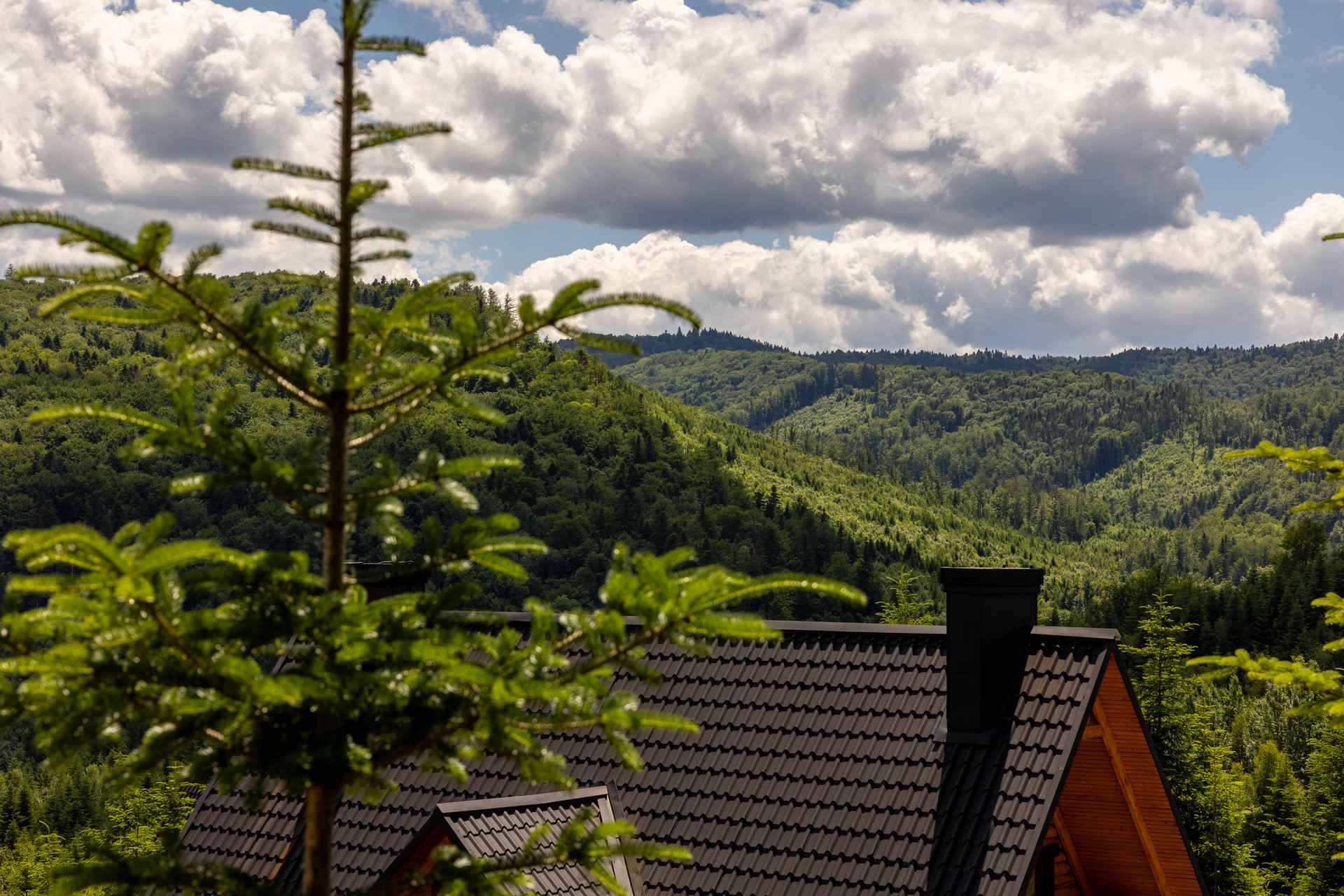 відпочинок у Мигові SPA