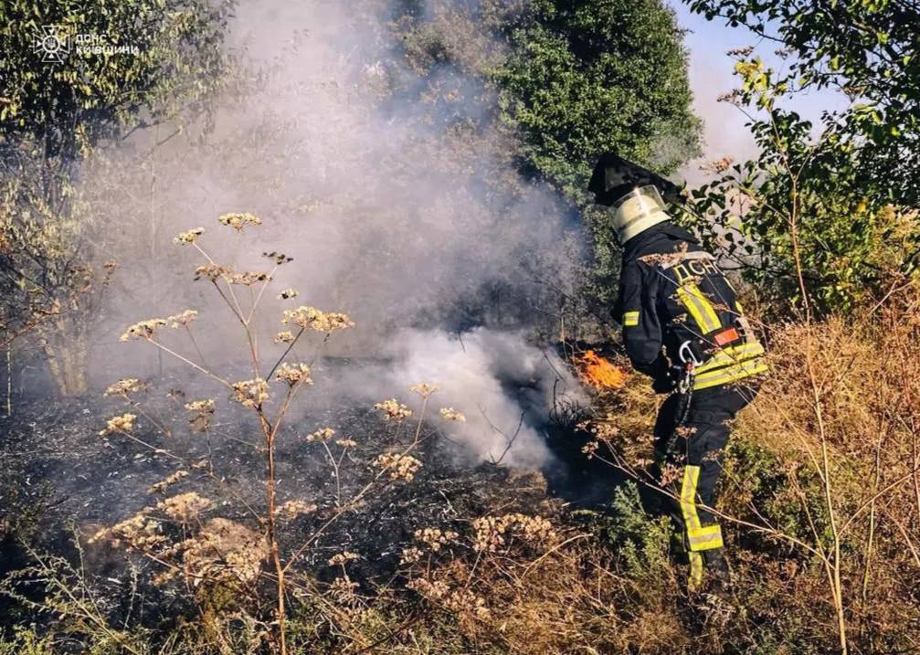 Площа всіх пожеж складала понад 40 га: на Київщині 9 вересня понад 100 раз гасили загоряння. Фото